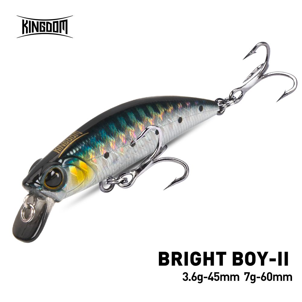 Vương Quốc Đánh Chìm Minnow Wo - đánh giá và giá Fishing Lure Crankbait